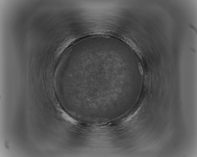 X0000097780577200803071351