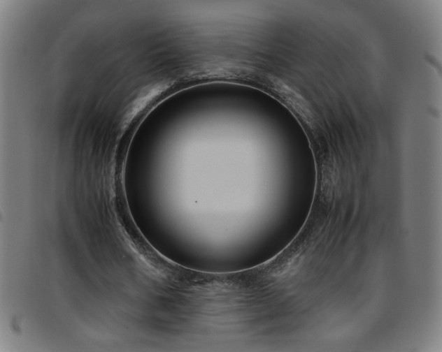 X0000097780578200803071351