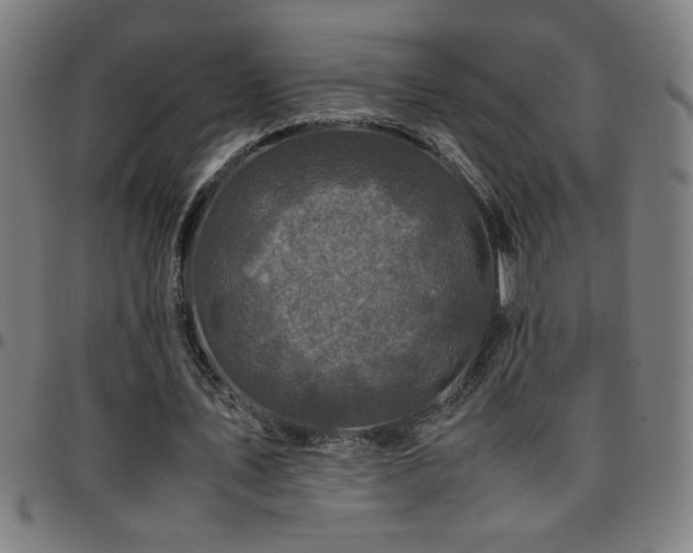 X0000097780579200803071351