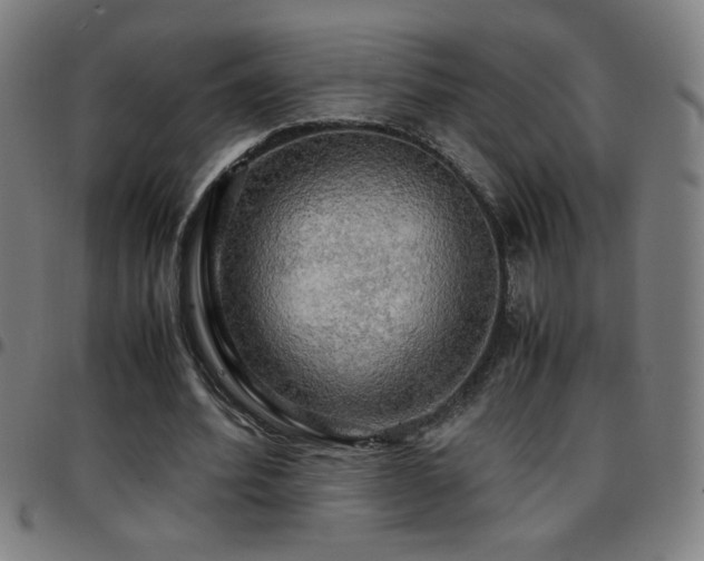 X0000097780580200803071351