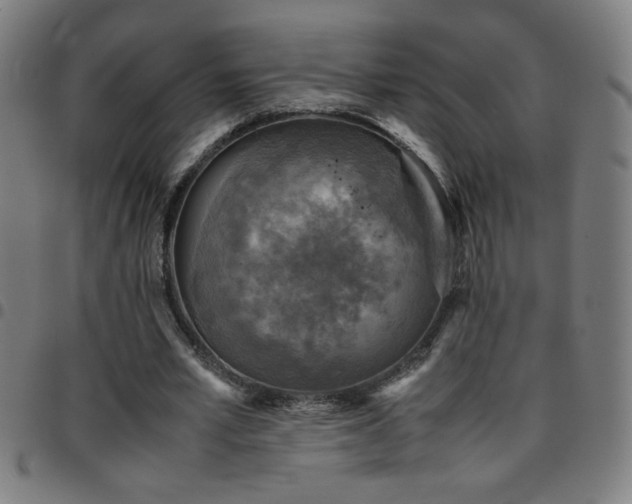 X0000097780581200803071351