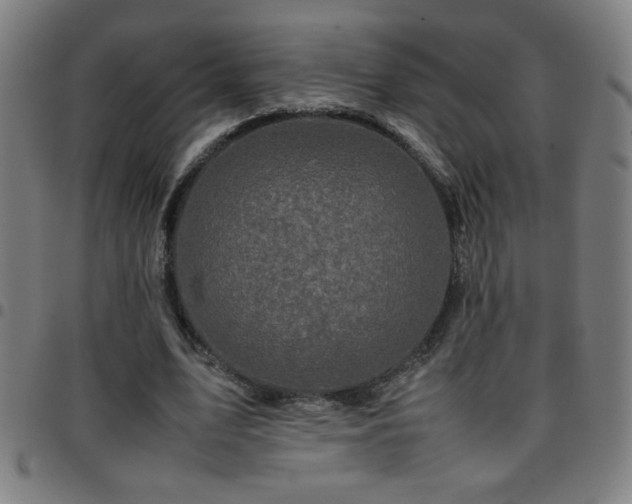 X0000097780583200803071351