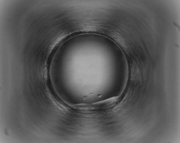 X0000097780584200803071351