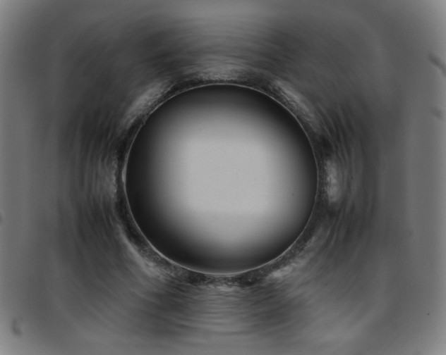 X0000097780586200803071351