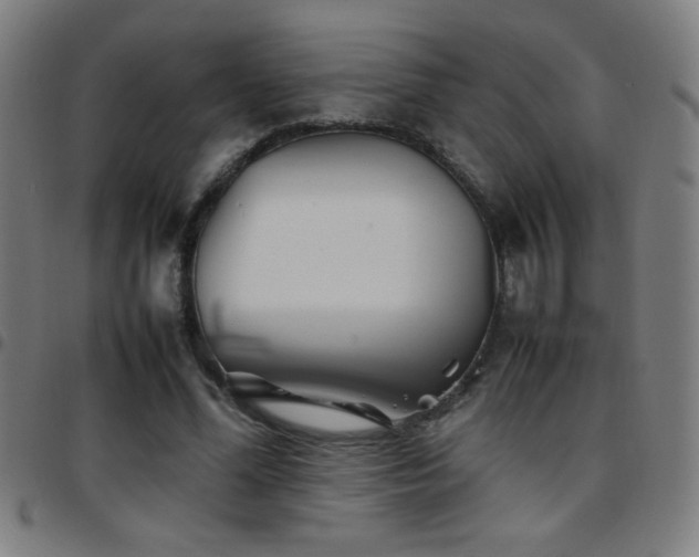 X0000097780588200803071351