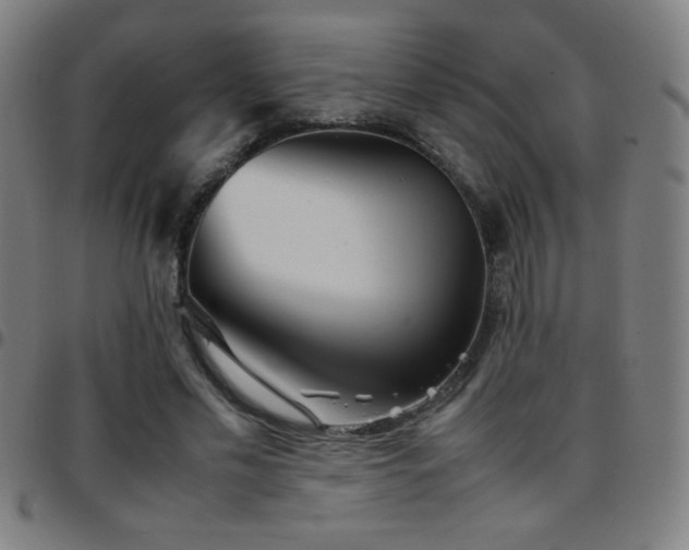 X0000097780589200803071351
