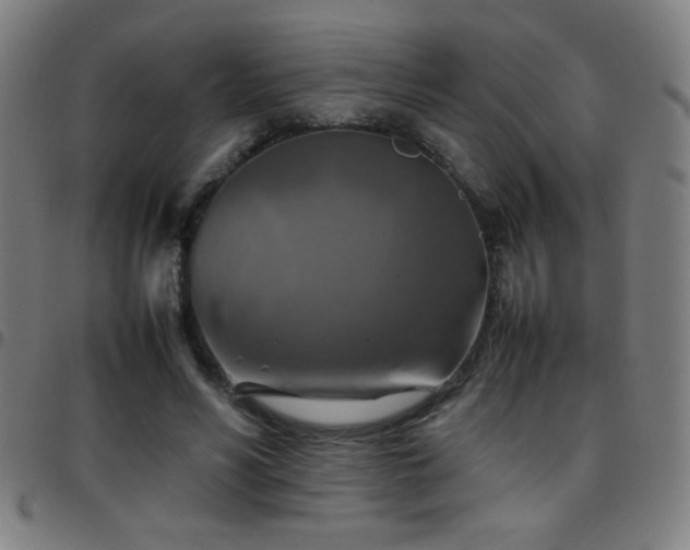 X0000097780590200803071351