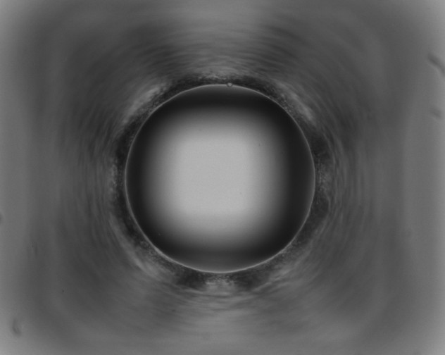 X0000097780591200803071351