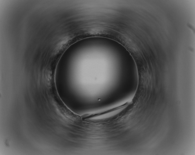 X0000097780592200803071351