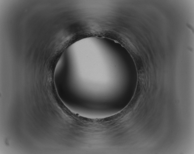 X0000097780593200803071351