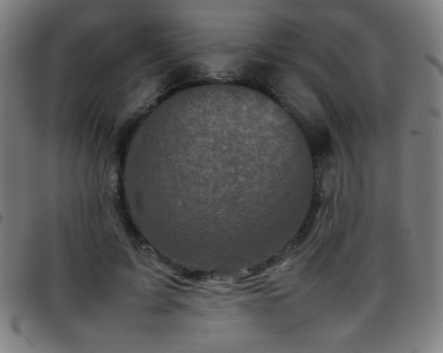 X0000097780595200803071351