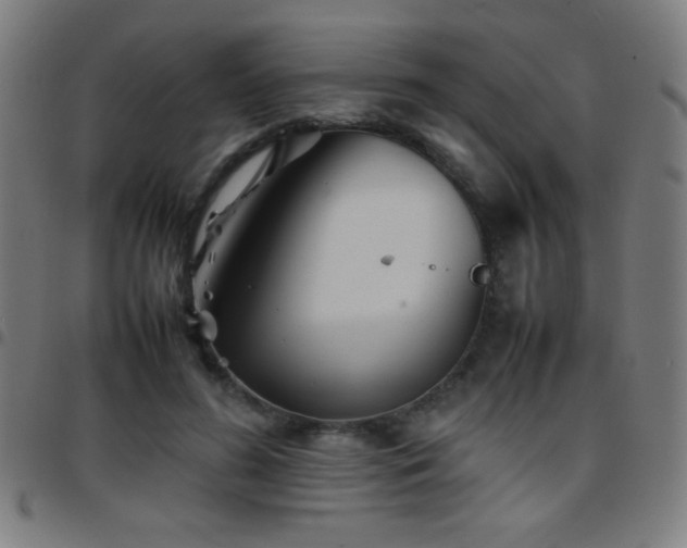 X0000097780596200803071351