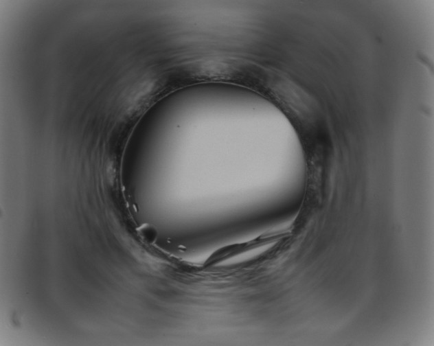 X0000097780597200803071351