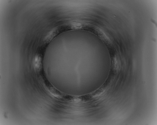 X0000097780598200803071351