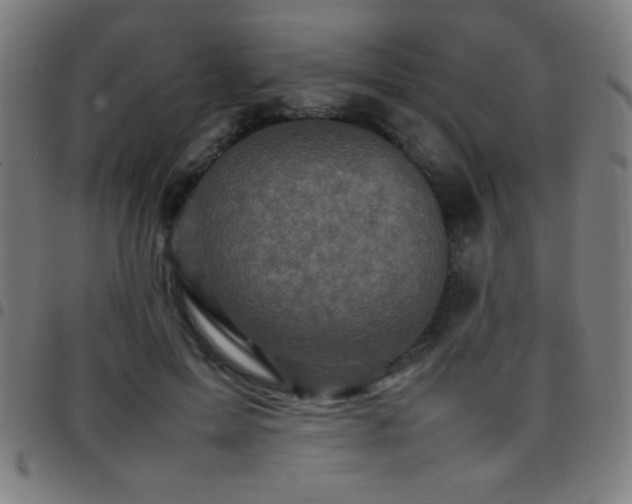 X0000097780599200803071351
