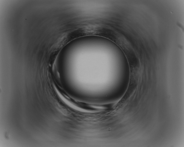 X0000097780601200803071351