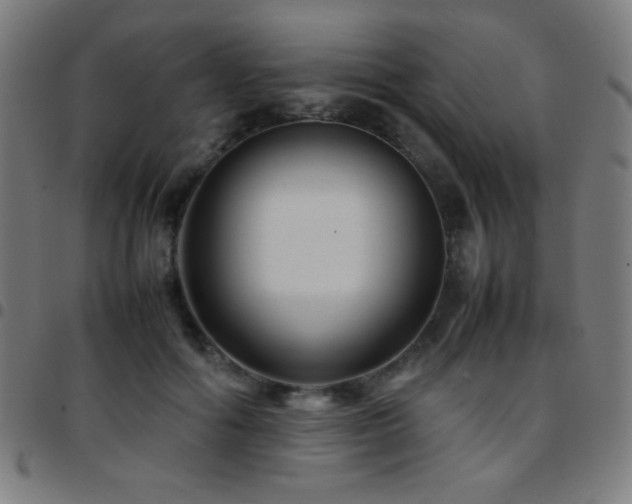X0000097780602200803071351