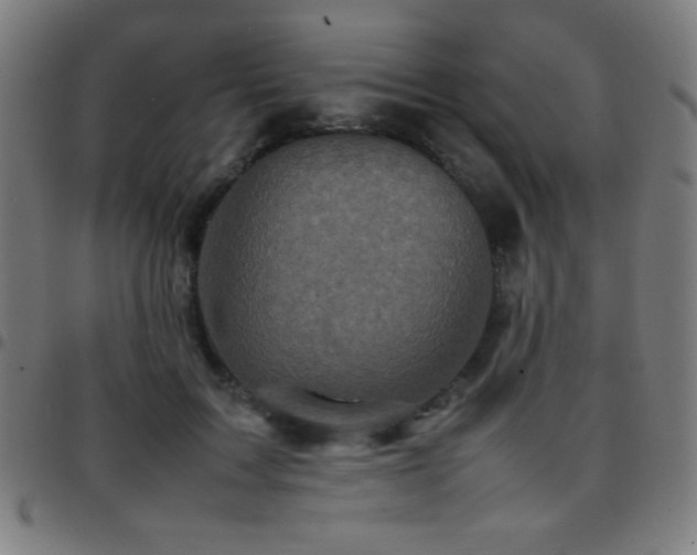 X0000097780603200803071351