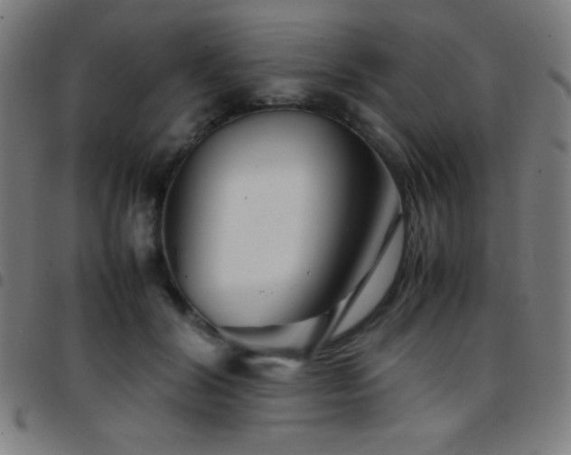 X0000097780604200803071351