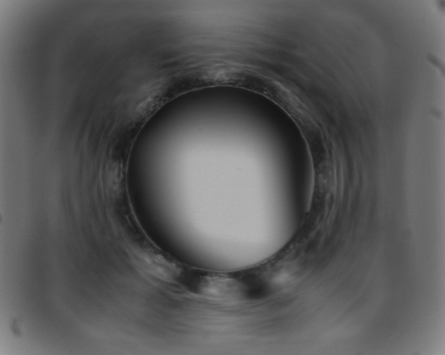 X0000097780605200803071351