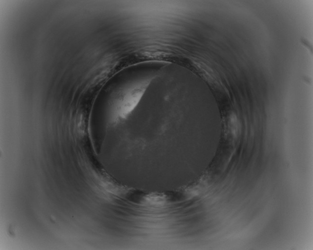 X0000097780606200803071351