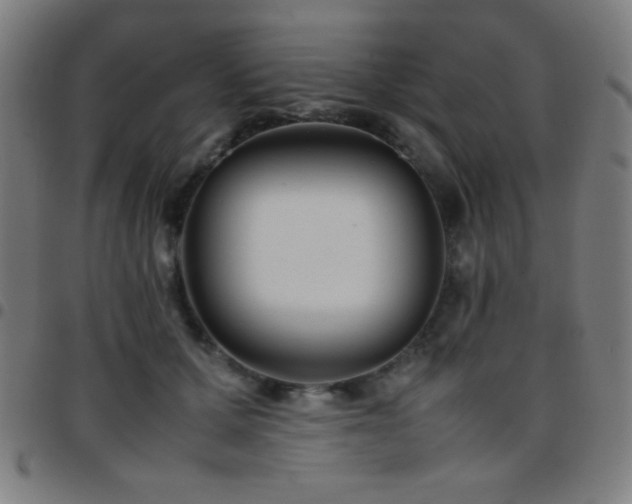 X0000097780607200803071351