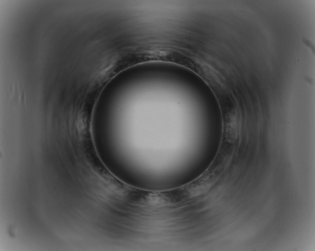 X0000097780608200803071351