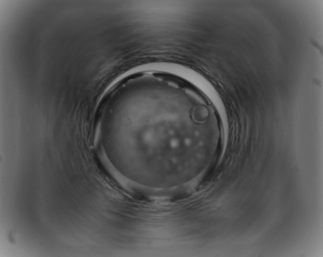 X0000097780609200803071351