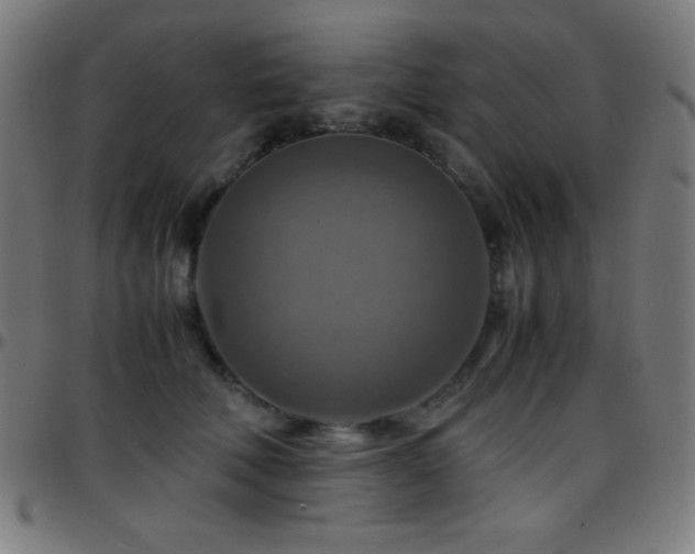 X0000097780610200803071351
