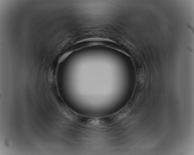 X0000097780611200803071351