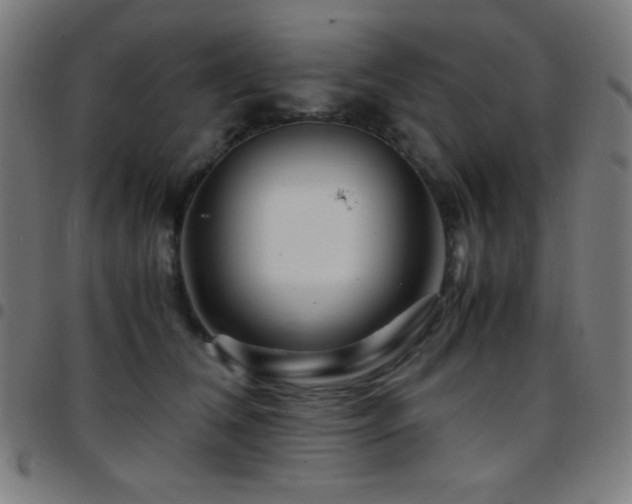 X0000097780612200803071351