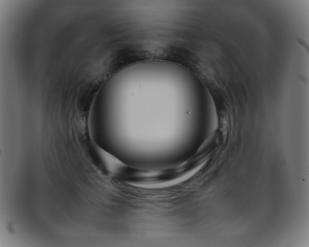 X0000097780613200803071351