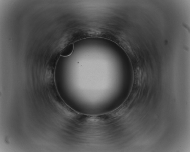 X0000097780614200803071351