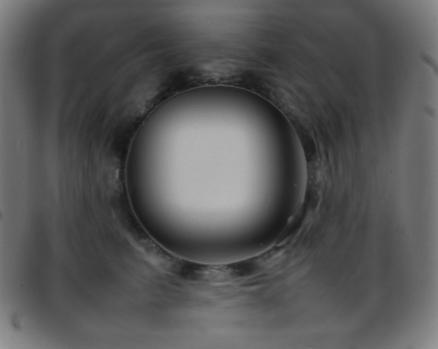 X0000097780615200803071351