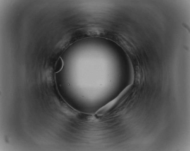X0000097780616200803071351