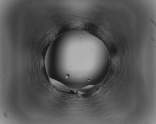 X0000097780617200803071351