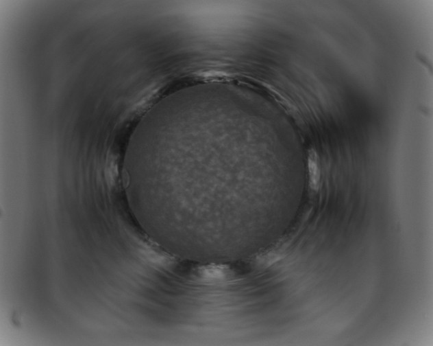 X0000097780618200803071351