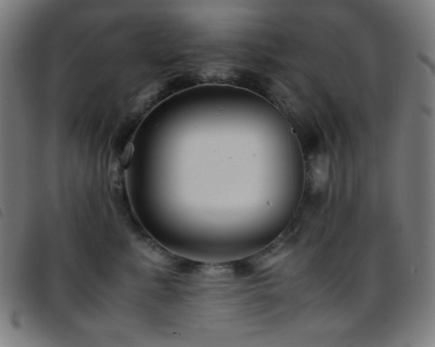 X0000097780619200803071351