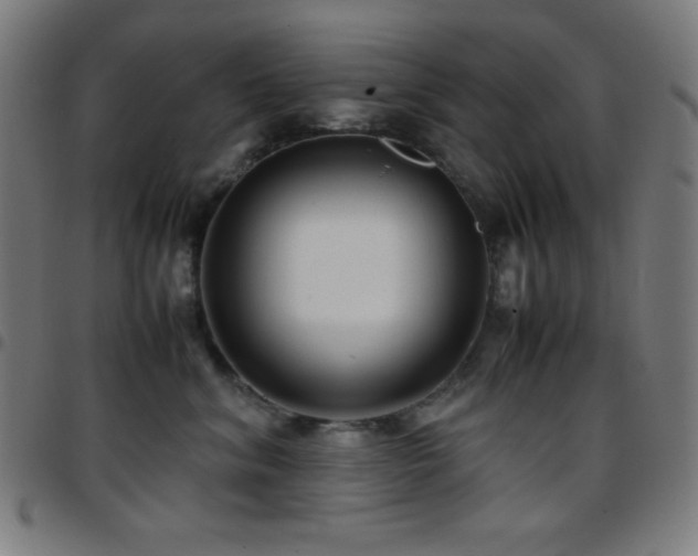 X0000097780620200803071351