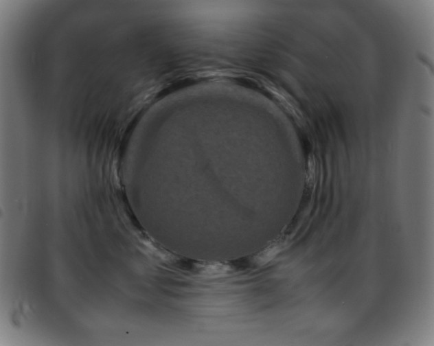 X0000097780621200803071351