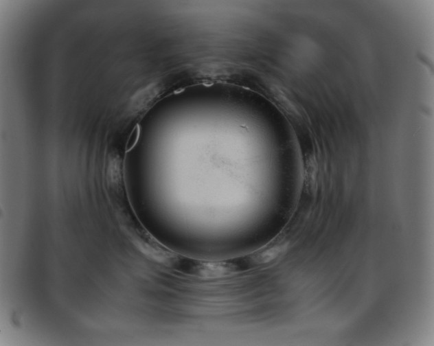 X0000097780623200803071351