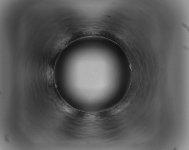 X0000097780624200803071351