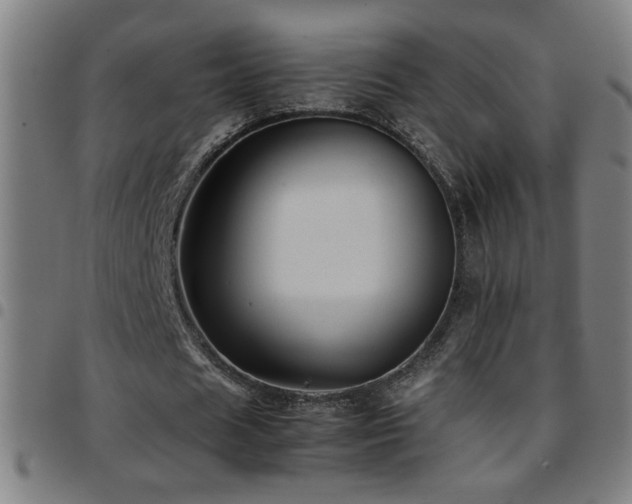 X0000097780625200803071350