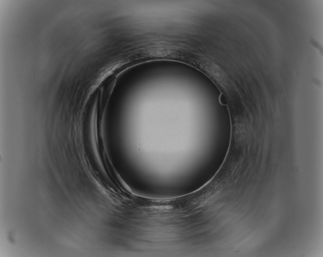 X0000097780626200803071350