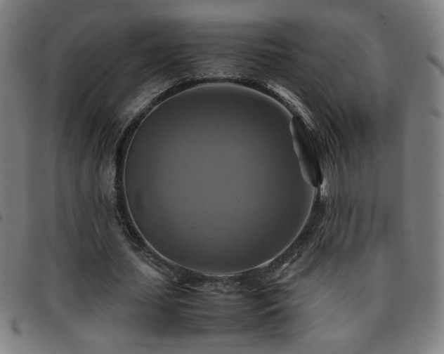 X0000097780627200803071350
