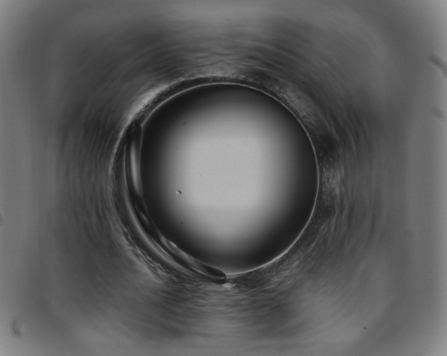 X0000097780628200803071350