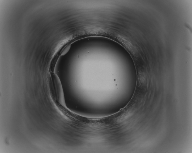 X0000097780630200803071350