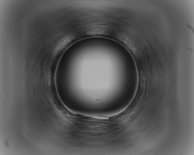 X0000097780631200803071350