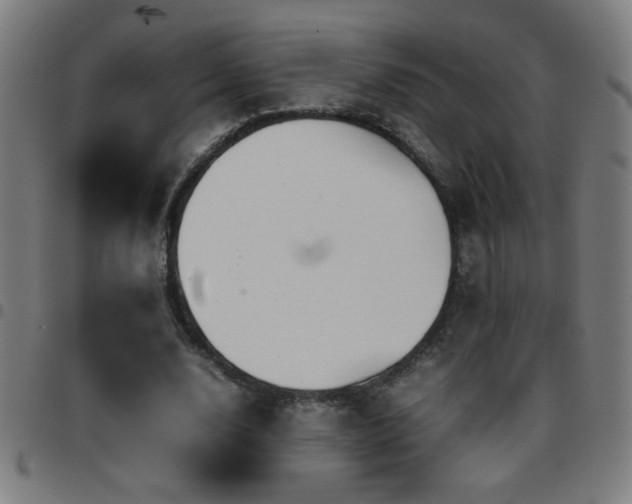 X0000097780632200803071350
