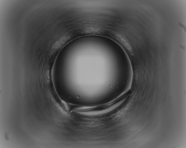 X0000097780633200803071350
